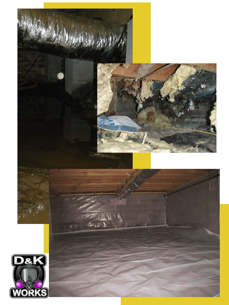 Crawl space clean up service denver experts